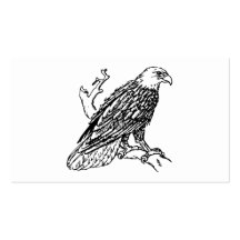 Eagle chauve américain carte de visite