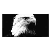 Eagle chauve américain cartes de vœux avec photo