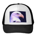 Eagle chauve - Américain Eagle Casquette De Camionneur