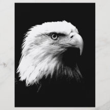 Eagle chauve américain tract