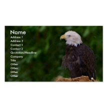 Eagle chauve cartes de visite professionnelles