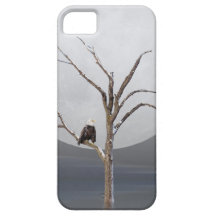 Eagle chauve dans l'arbre coques Case-Mate iPhone 5