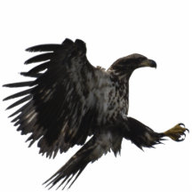 EAGLE CHAUVE de DÉBARQUEMENT a sculpté le cadeau d Photos En Relief