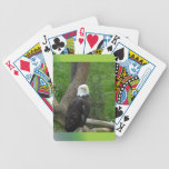 Eagle chauve jeux de cartes bicyle