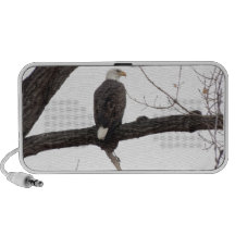 Eagle chauve mini haut-parleurs