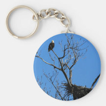 Eagle chauve par son porte - clé de nid porte-clefs