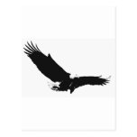 Eagle de débarquement noir et blanc carte postale