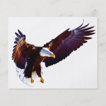 Eagle In Flight Flyer