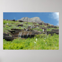 Eau courante en parc national de glacier posters