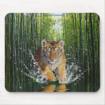 Éclaboussement du tigre CUB et du tapis de souris 