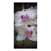 Éclaboussure pourpre cartes de vœux avec photo