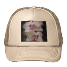 Éclaboussure pourpre casquette