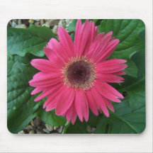 Éclairez votre rose Gerber de jour Tapis De Souris