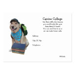 École de chien modèles de cartes de visite
