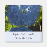 Économies bleues douces d'hortensia la date magnets pour réfrigérateur