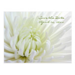 Économies de fleur la carte postale de mariage de 