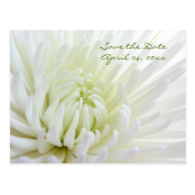 Économies de fleur la carte postale de mariage de 