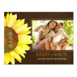 Économies de photo de Brown et de tournesol d'auto Cartes Postales