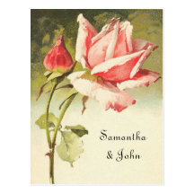 Économies de rose de cru la date carte postale