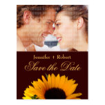 Économies de tournesol la carte postale de date