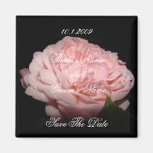 Économies florales de rose de rose l'aimant de dat
