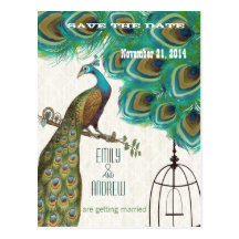 Économies marocaines de cage à oiseaux de paon de  cartes postales