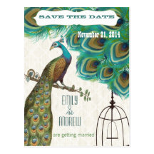 Économies marocaines de cage à oiseaux de paon de  cartes postales