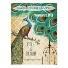 Économies marocaines de cage à oiseaux de paon de  cartes postales