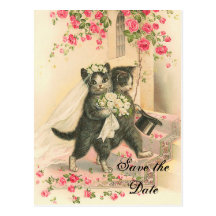 Économies victoriennes de mariage de chaton la dat cartes postales