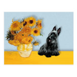 Écossais Terrier 3 - tournesols Cartes Postales