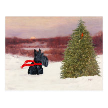 Écossais Terrier dans l'hiver Carte Postale