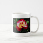 Écoulement blanc hybride de "Andeli" de rose de th Tasses À Café