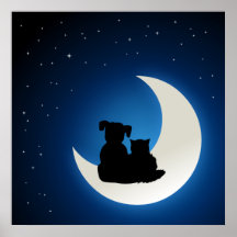 Écrit dans les étoiles - affiche