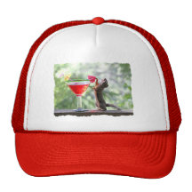 Écureuil buvant la boisson tropicale casquette de camionneur