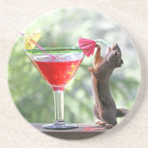 Écureuil buvant la boisson tropicale dessous de verre