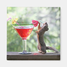 Écureuil buvant la boisson tropicale aimant pour réfrigérateur