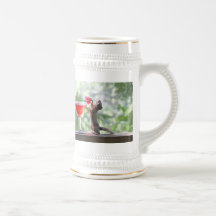 Écureuil buvant la boisson tropicale tasse à café