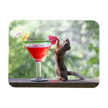Écureuil buvant un cocktail magnets