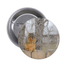 Écureuil de Fox Badge