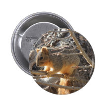 Écureuil de Fox Badge
