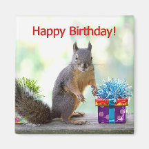 Écureuil de joyeux anniversaire magnets pour réfrigérateur