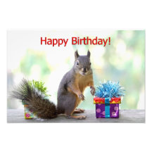Écureuil de joyeux anniversaire photographes