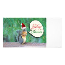 Écureuil de Noël avec l'arrière - plan à feuillage Photocartes