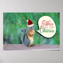 Écureuil de Noël avec l'arrière - plan à feuillage Posters