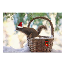 Écureuil de Père Noël dans le panier de Noël de Mi Photos Sur Toile