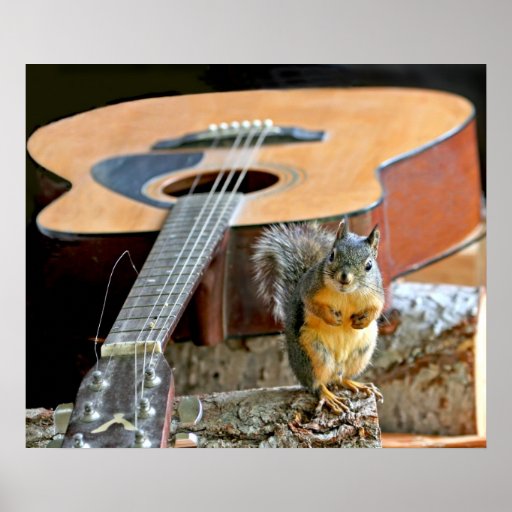 Écureuil et guitare posters