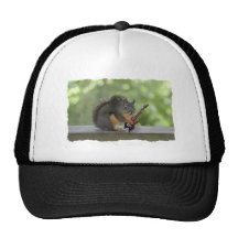Écureuil jouant la guitare électrique casquette de camionneur