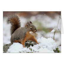 Écureuil mignon dans la neige avec l'arachide cartes de vœux
