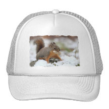 Écureuil mignon dans la neige avec l'arachide casquette de camionneur