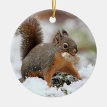 Écureuil mignon dans la neige avec l'arachide ornement de noël